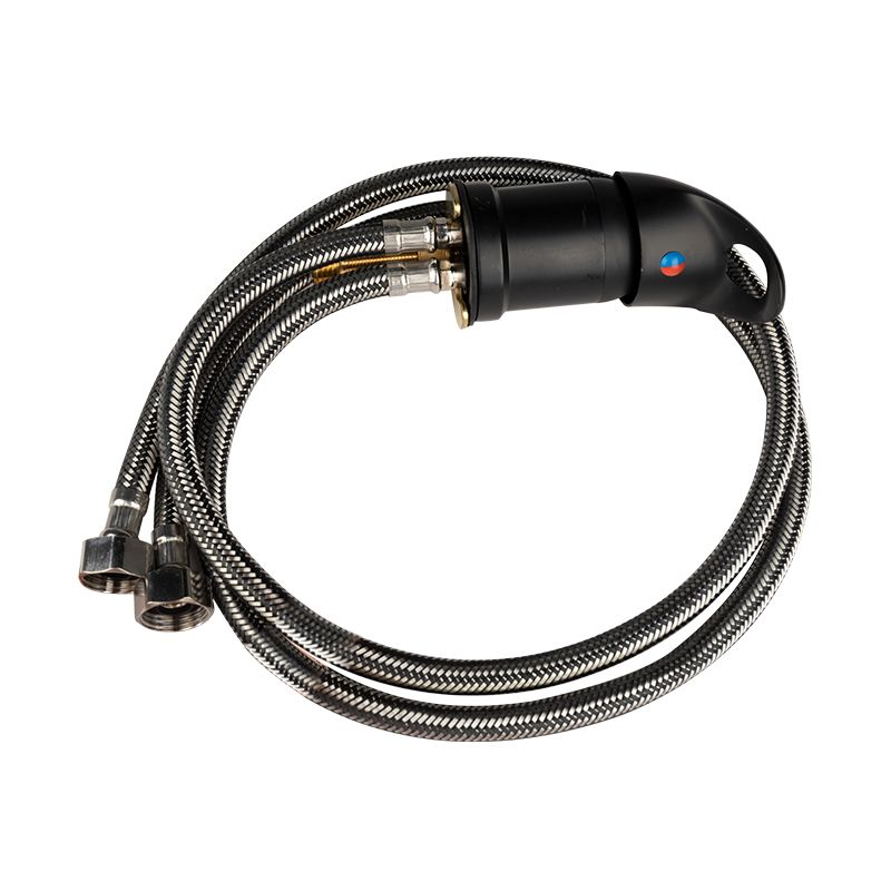 FEKETE HAJMOSÓ KEVERŐEGYSÉG